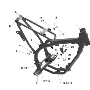 FRAME - 2022 CX65