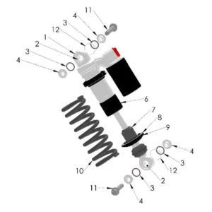 SHOCK-2021-CX50-FWE