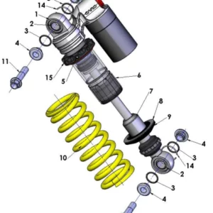 SHOCK - 2021 CX65